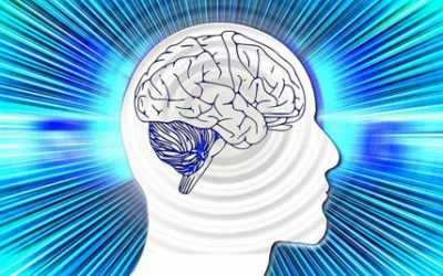 Cervello al Top: 10 consigli per mantenere il cervello attivo